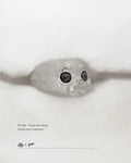 A 45-degree view of the 925 sterling silver Ploop seal ring on a white blanket, by Dzoo, available at Rainbow Tears.