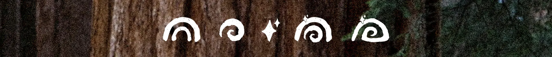 Rainbow Tears logo evolution showing design progress from initial sketches to the final emblem, representing creativity and emotional expression.