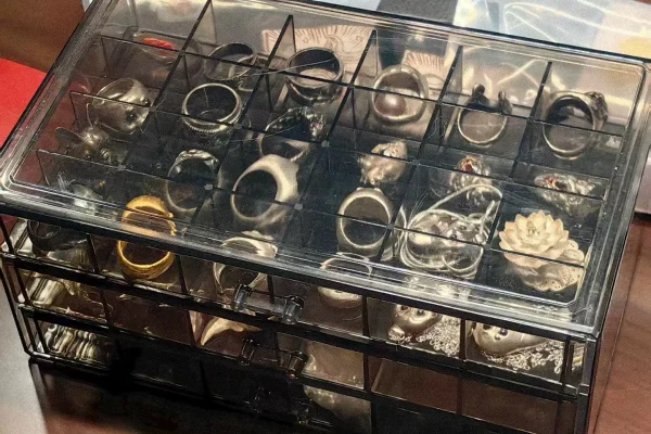 Dian Dian's storage box filled with silver animal jewelry